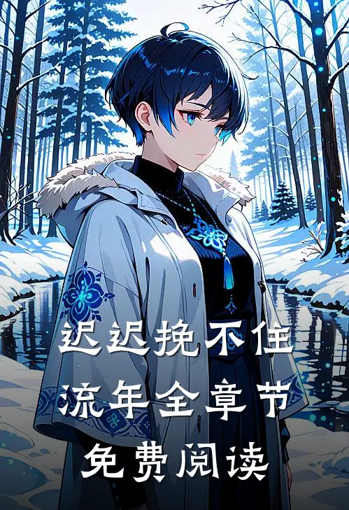 迟迟挽不住流年全章节免费阅读
