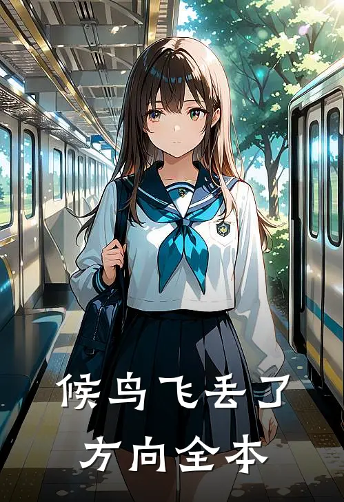 候鸟飞丢了方向全本