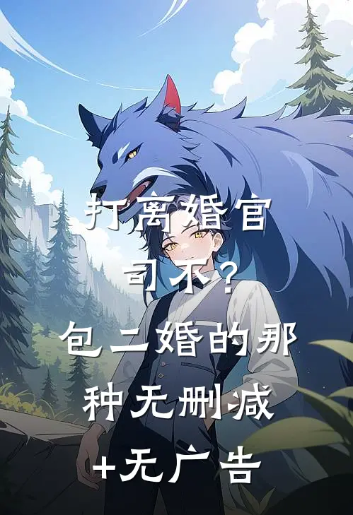 打离婚官司不？包二婚的那种无删减+无广告