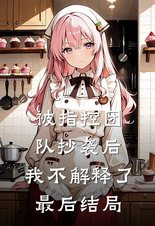 被指控团队抄袭后，我不解释了最后结局