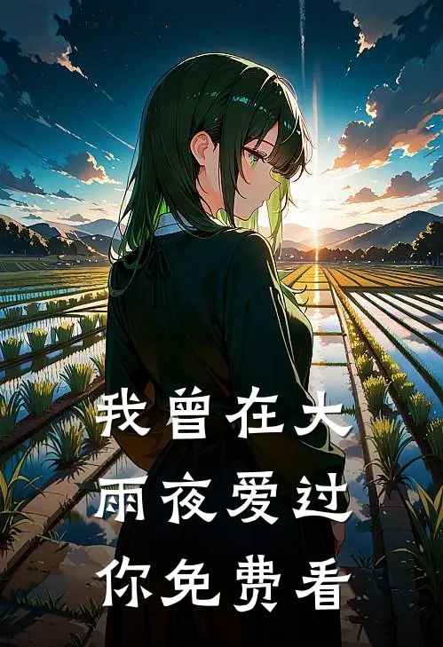 我曾在大雨夜爱过你免费看
