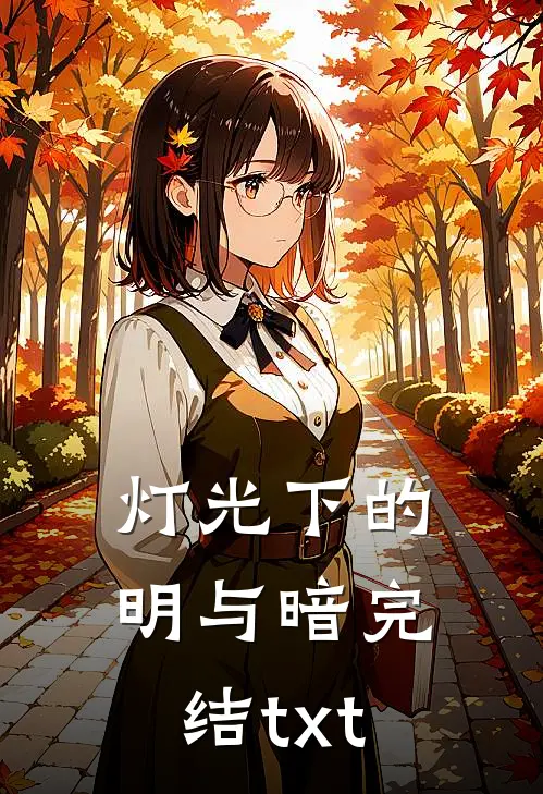 灯光下的明与暗完结txt