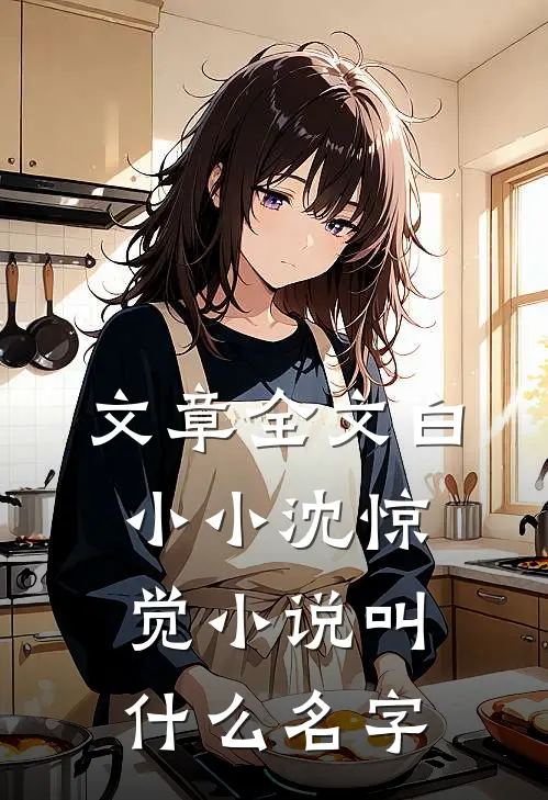 文章全文白小小沈惊觉小说叫什么名字