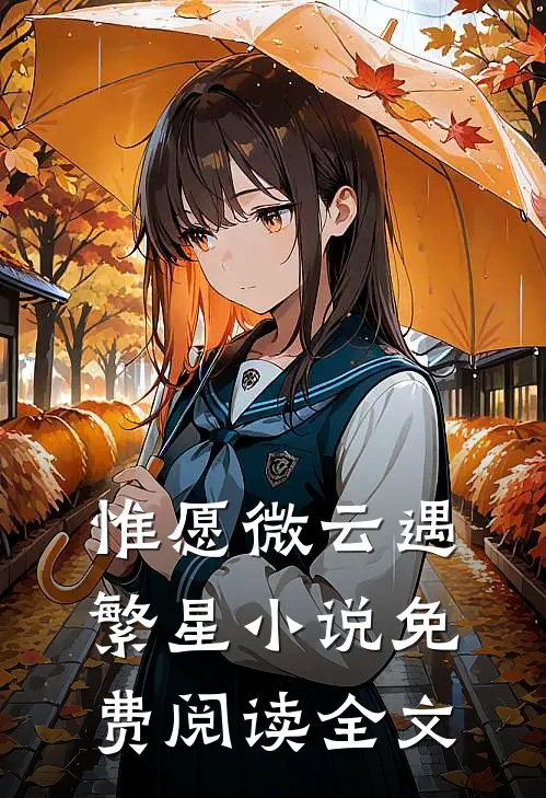 惟愿微云遇繁星小说免费阅读全文