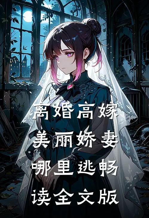 离婚高嫁美丽娇妻哪里逃畅读全文版