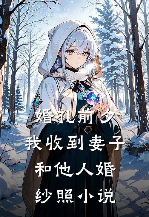 婚礼前夕，我收到妻子和他人婚纱照小说