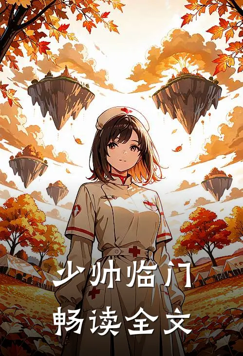 少帅临门畅读全文