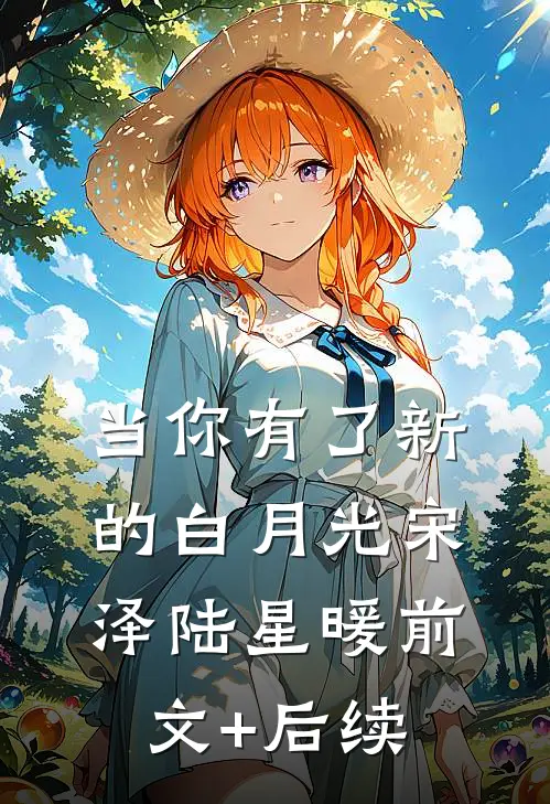 当你有了新的白月光宋泽陆星暖前文+后续