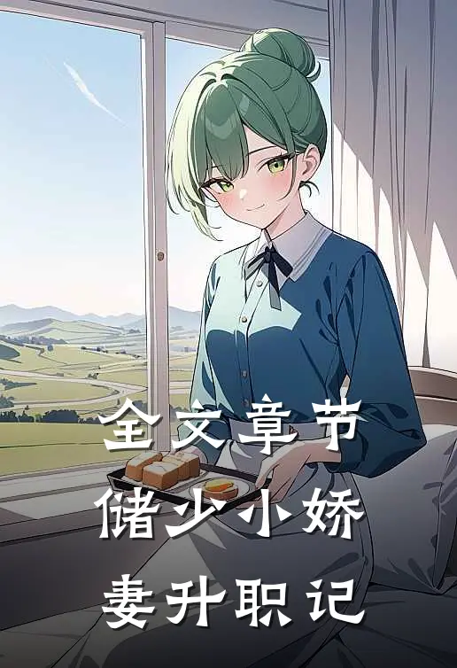 全文章节储少小娇妻升职记