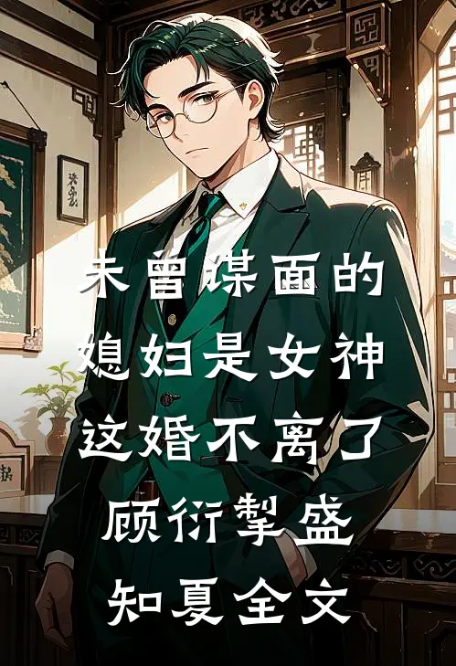 未曾谋面的媳妇是女神，这婚不离了顾衍掣盛知夏全文