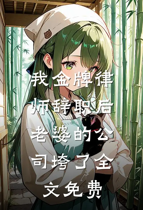 我金牌律师辞职后，老婆的公司垮了全文免费