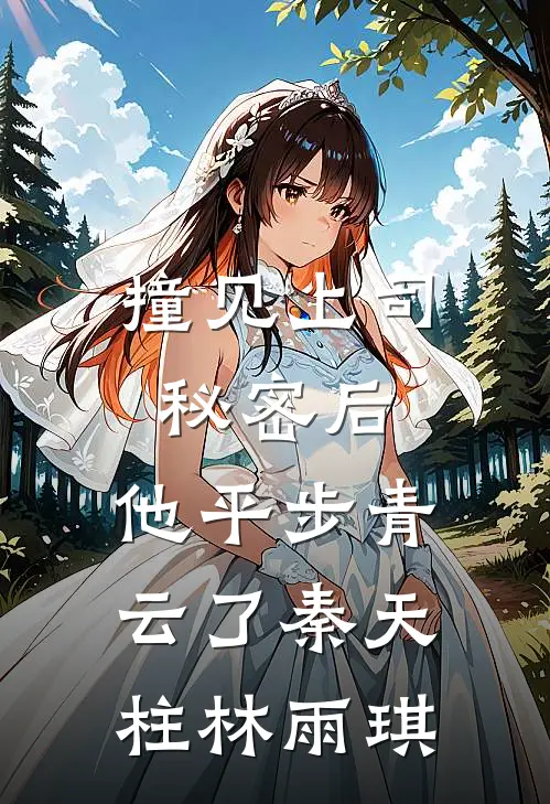 撞见上司秘密后，他平步青云了秦天柱林雨琪