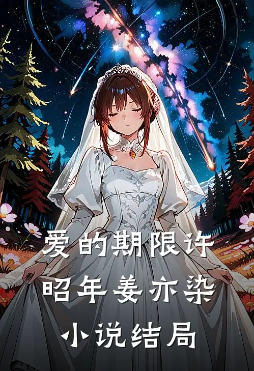 爱的期限许昭年姜亦染小说结局