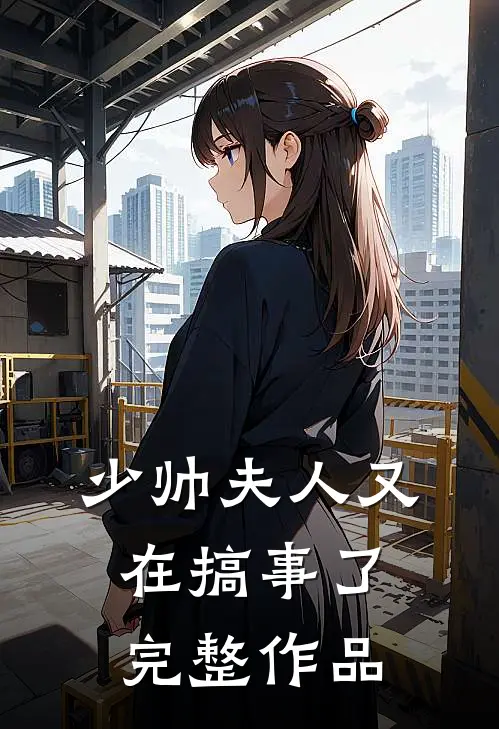 少帅夫人又在搞事了完整作品