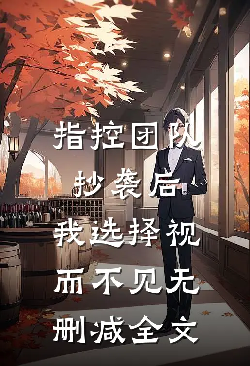 指控团队抄袭后，我选择视而不见无删减全文