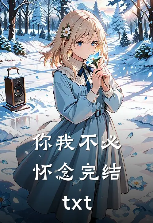 你我不必怀念完结txt