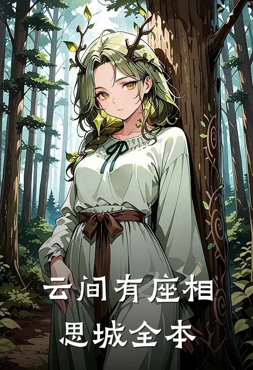 云间有座相思城全本