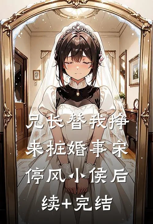 兄长替我挣来桩婚事宋停风小侯后续+完结