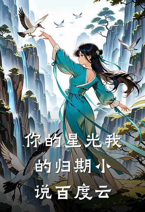 你的星光我的归期小说百度云