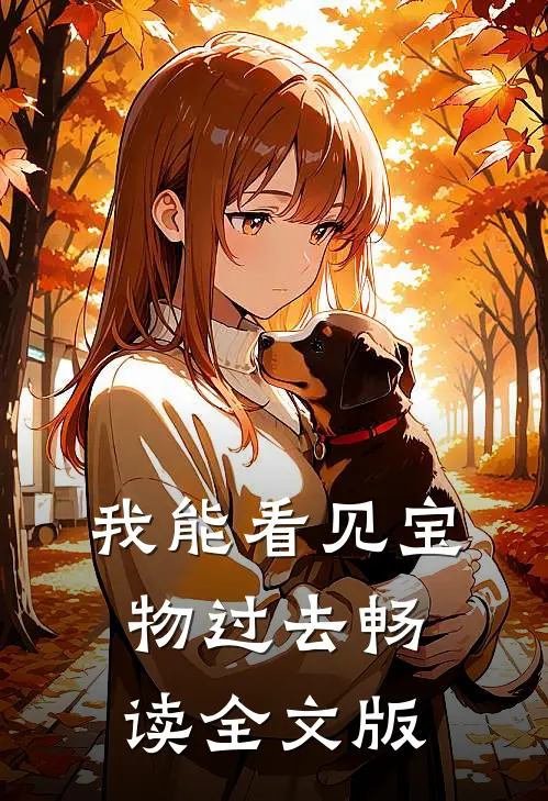 我能看见宝物过去畅读全文版