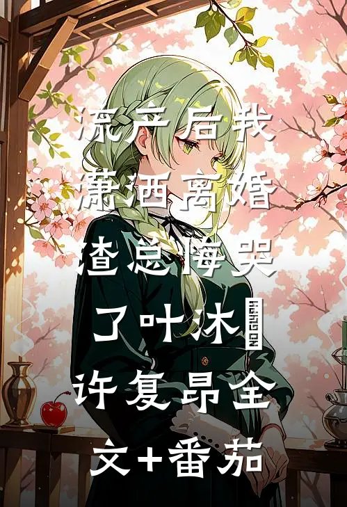 流产后我潇洒离婚，渣总悔哭了叶沐笒许复昂全文+番茄