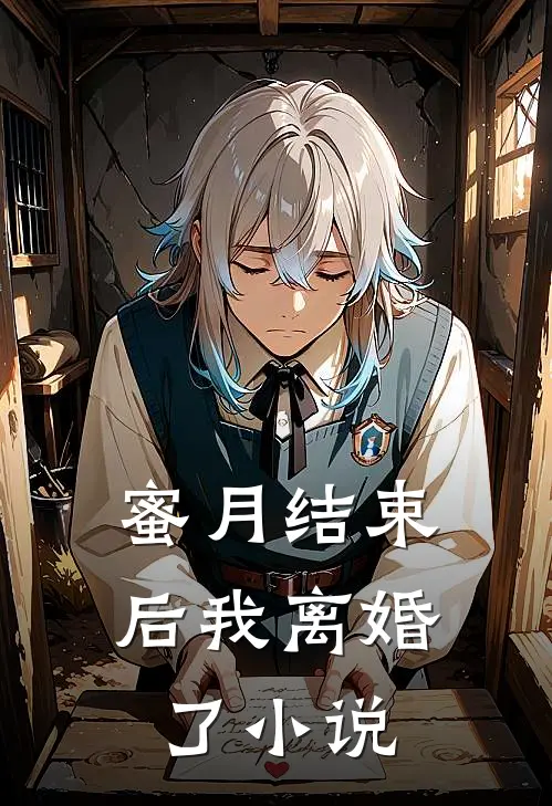 蜜月结束后我离婚了小说
