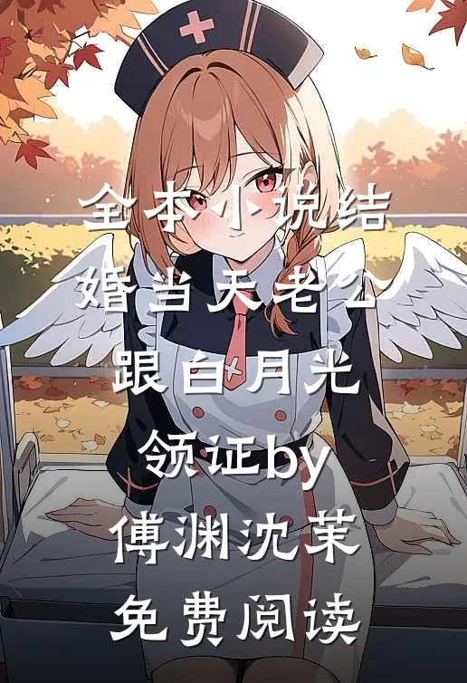 全本小说结婚当天老公跟白月光领证by傅渊沈茉免费阅读