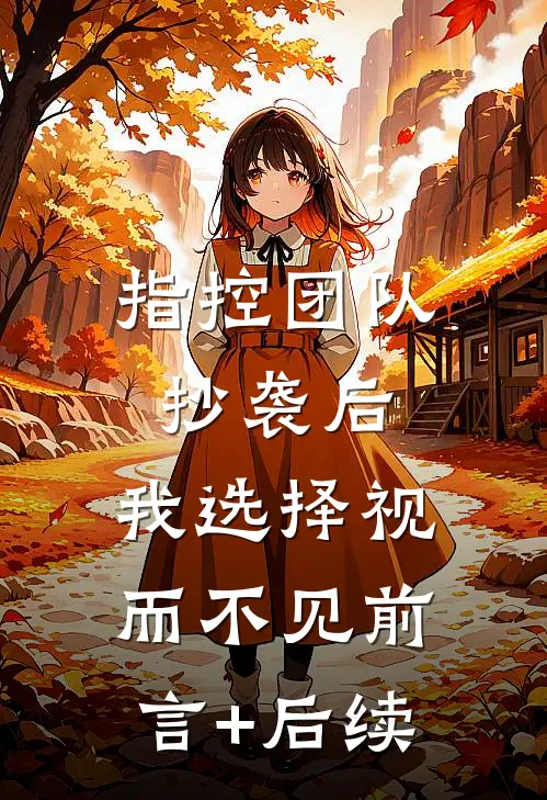 指控团队抄袭后，我选择视而不见前言+后续