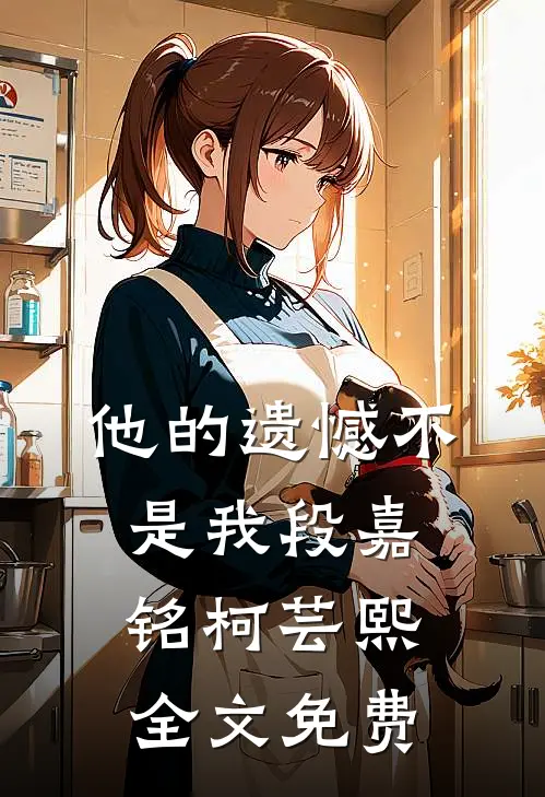 他的遗憾不是我段嘉铭柯芸熙全文免费