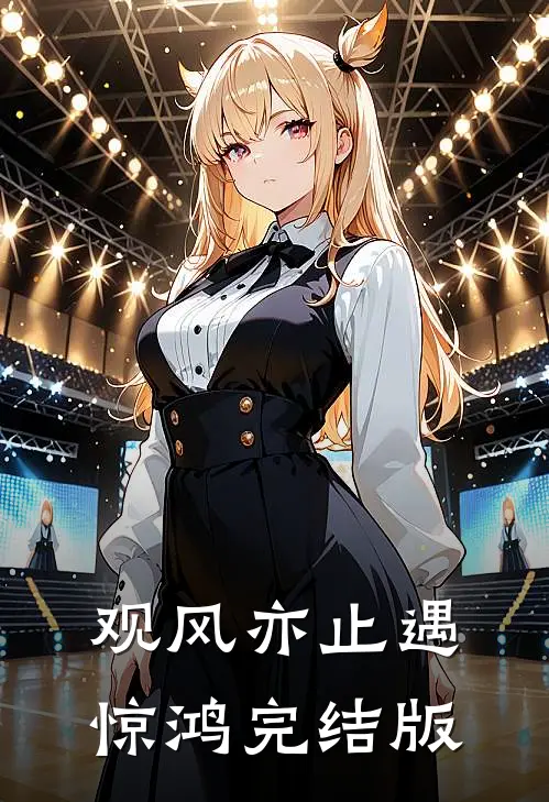 观风亦止遇惊鸿完结版