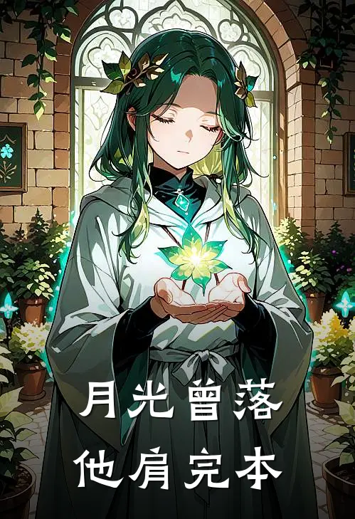 月光曾落他肩完本