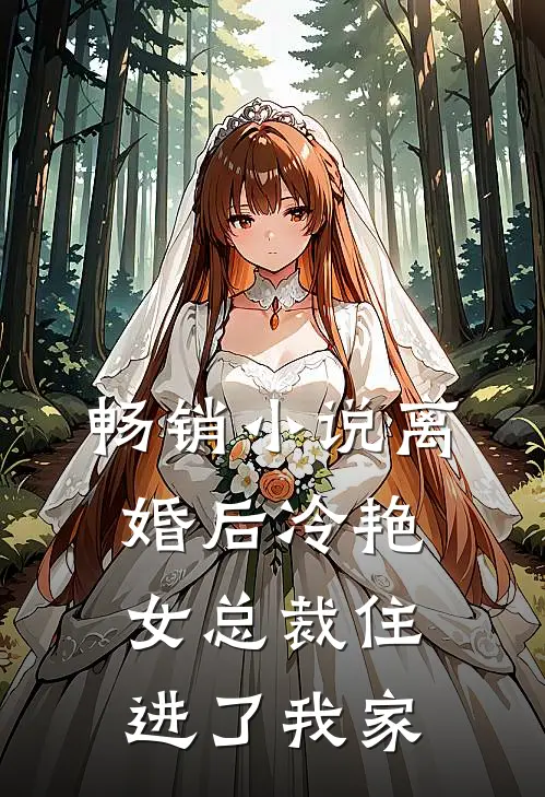 畅销小说离婚后冷艳女总裁住进了我家
