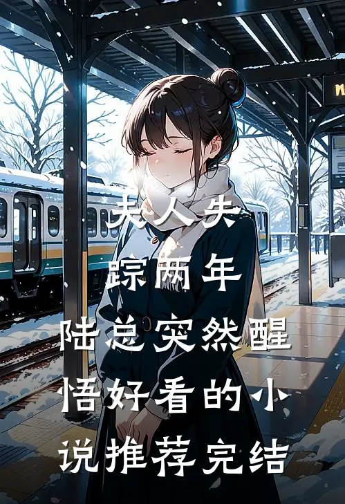 夫人失踪两年，陆总突然醒悟好看的小说推荐完结