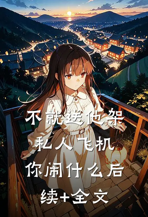 不就送他架私人飞机，你闹什么后续+全文