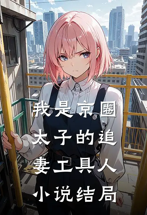 我是京圈太子的追妻工具人小说结局