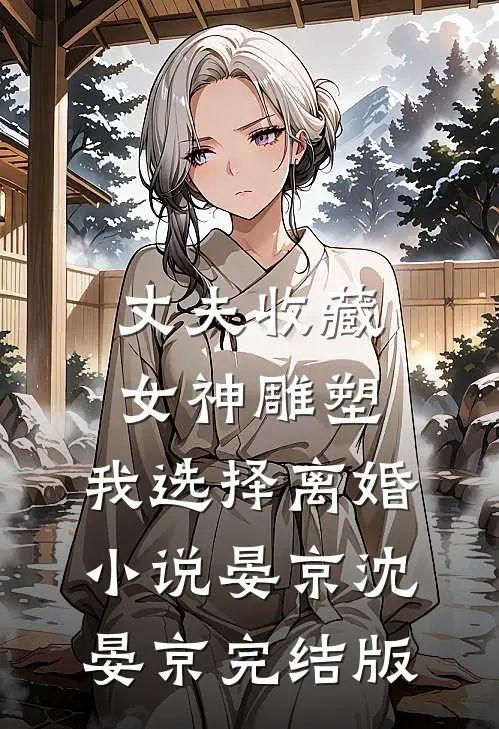 丈夫收藏女神雕塑，我选择离婚小说晏京沈晏京完结版