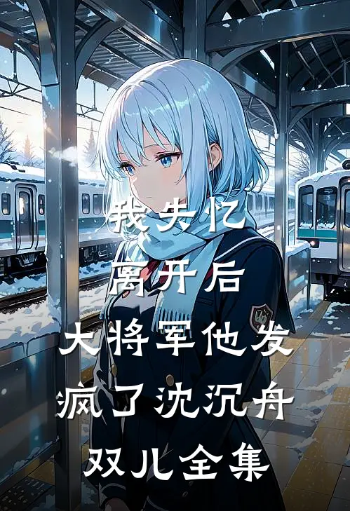 我失忆离开后，大将军他发疯了沈沉舟双儿 全集