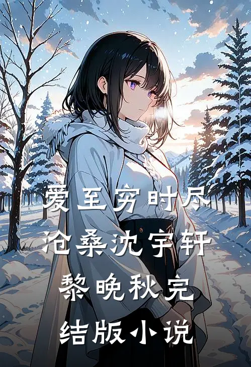 爱至穷时尽沧桑沈宇轩黎晚秋完结版小说