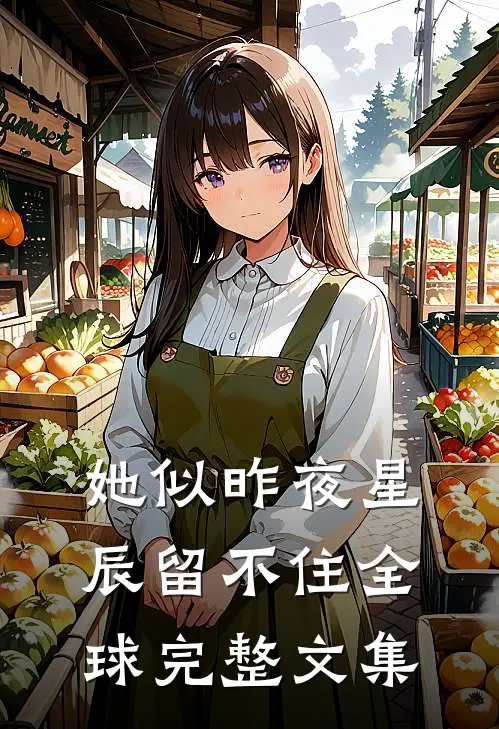 她似昨夜星辰留不住全球完整文集