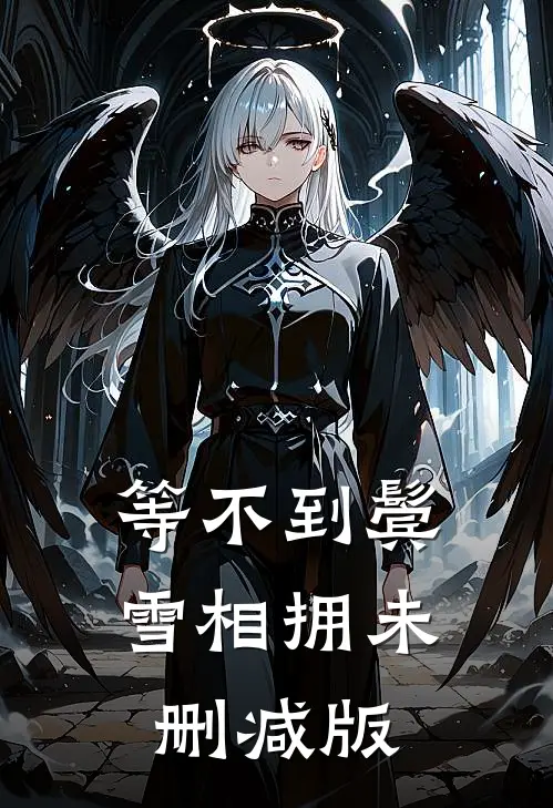 等不到鬓雪相拥未删减版