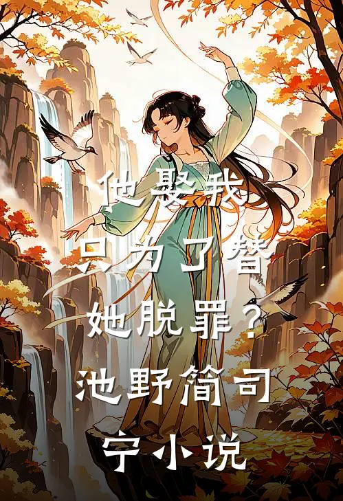 他娶我，只为了替她脱罪？池野简司宁小说