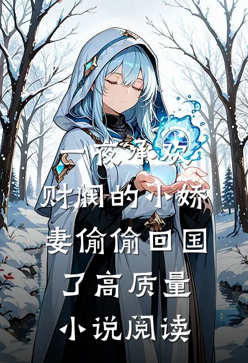 一夜承欢：财阀的小娇妻偷偷回国了高质量小说阅读