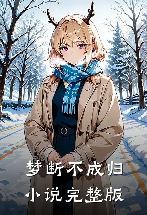 梦断不成归小说完整版