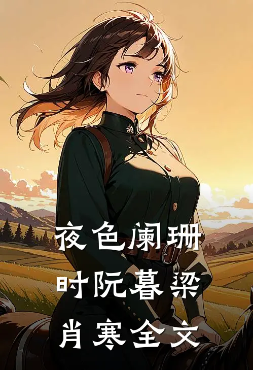 夜色阑珊时阮暮梁肖寒全文