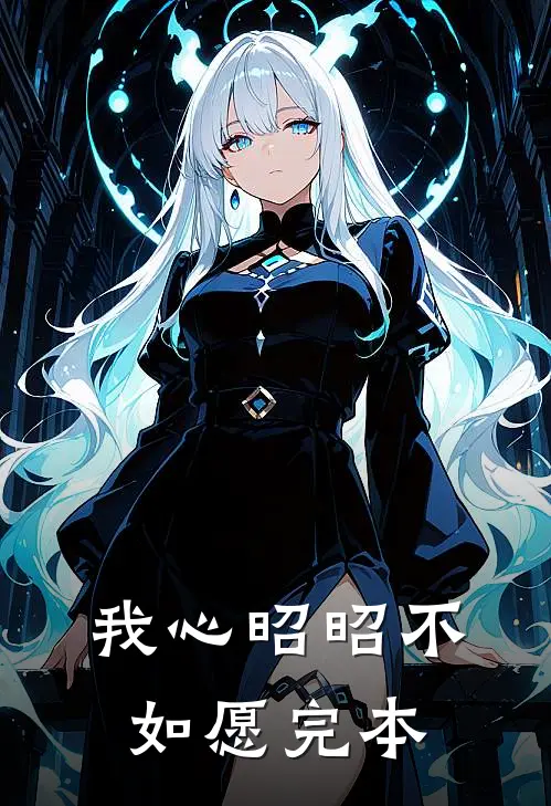 我心昭昭不如愿完本