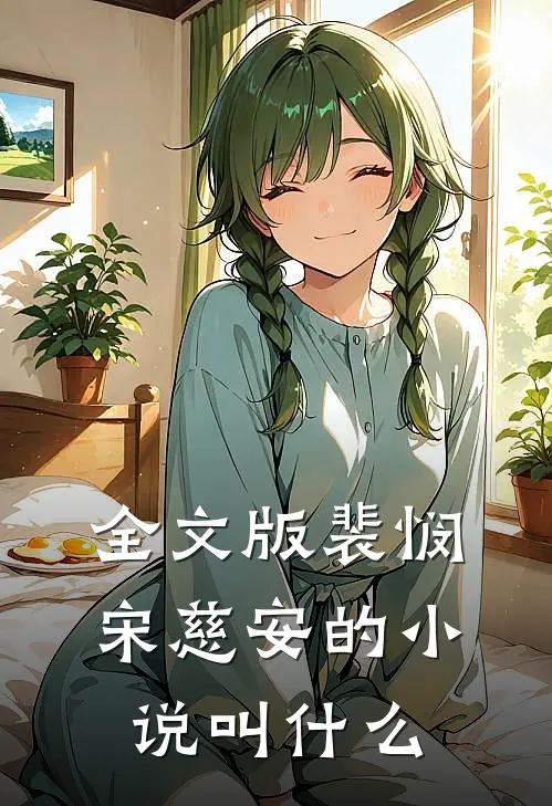 全文版裴悯宋慈安的小说叫什么