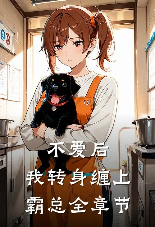 不爱后，我转身缠上霸总全章节