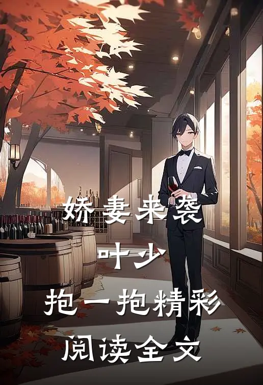 娇妻来袭：叶少，抱一抱精彩阅读全文