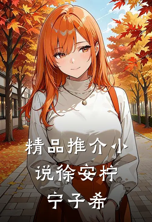 精品推介小说徐安柠,宁子希