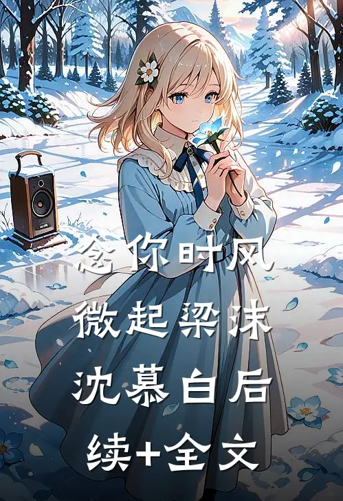 念你时风微起梁沫沈慕白后续+全文